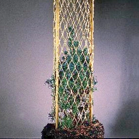 18 Tree Planting Tubes (Sets of 10)